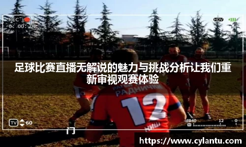 足球比赛直播无解说的魅力与挑战分析让我们重新审视观赛体验