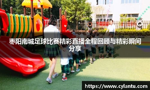 枣阳南城足球比赛精彩直播全程回顾与精彩瞬间分享