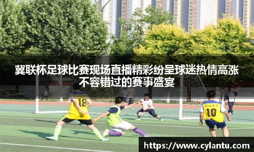 冀联杯足球比赛现场直播精彩纷呈球迷热情高涨不容错过的赛事盛宴