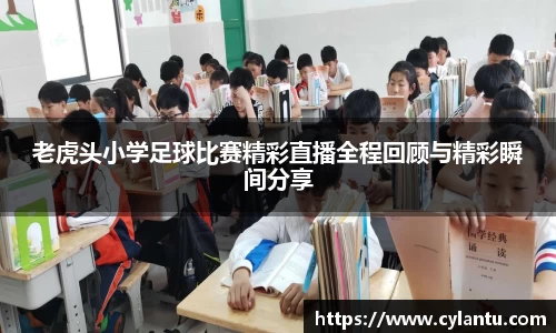 老虎头小学足球比赛精彩直播全程回顾与精彩瞬间分享