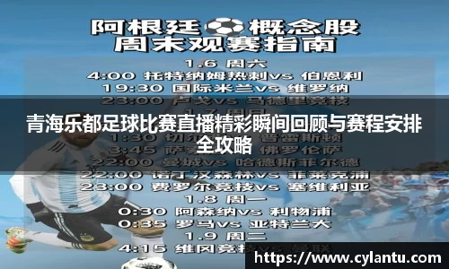 青海乐都足球比赛直播精彩瞬间回顾与赛程安排全攻略