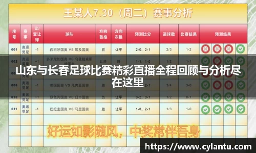 山东与长春足球比赛精彩直播全程回顾与分析尽在这里